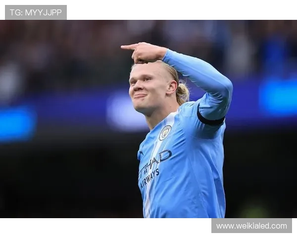 哈兰德赛末被抱只想安静躺会儿